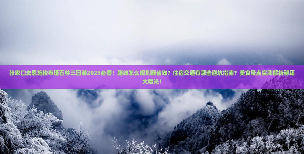 张家口去恩施梭布垭石林三日游
