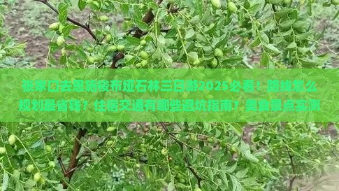 张家口去恩施梭布垭石林三日游