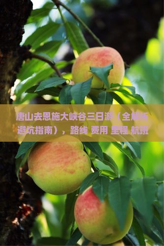 唐山去恩施大峡谷三日游
