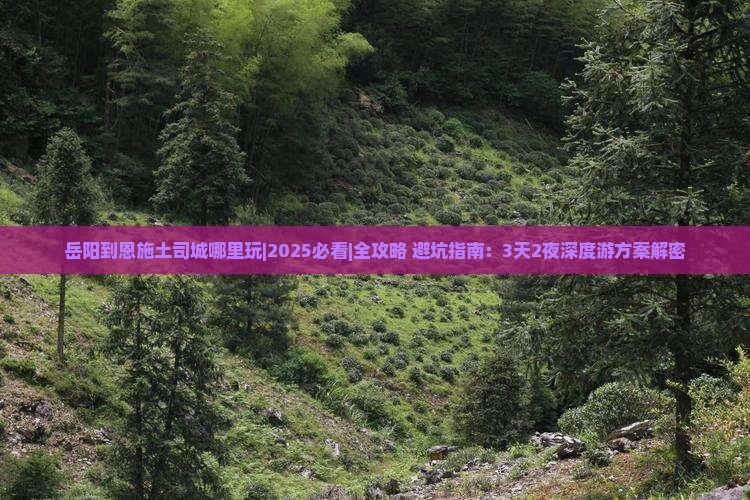 岳阳到恩施土司城哪里玩