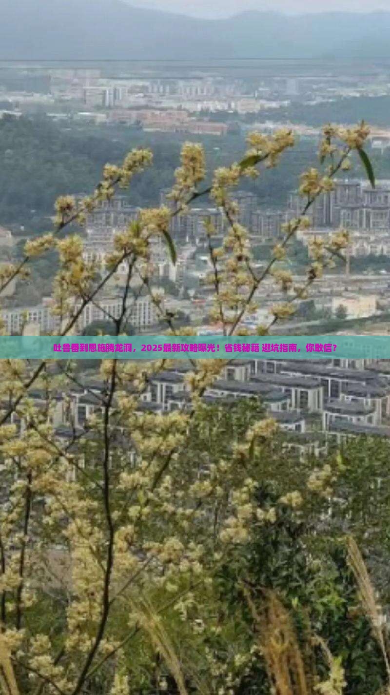 吐鲁番去恩施腾龙洞攻略