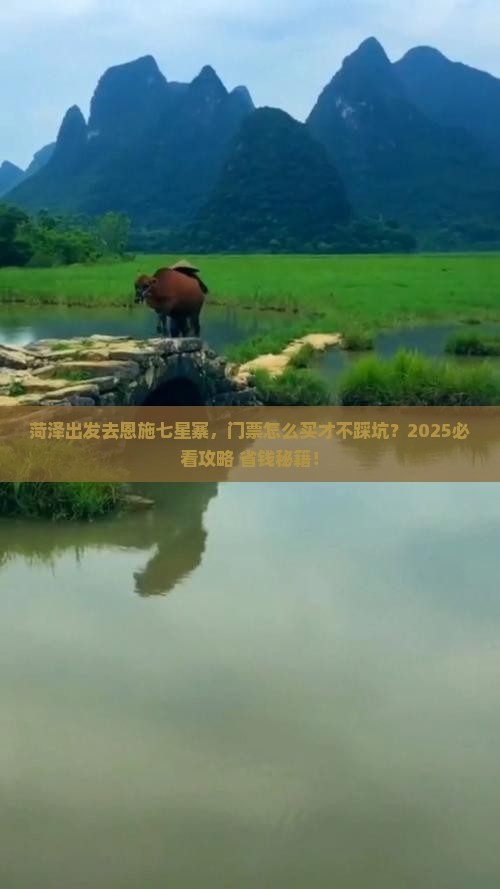 菏泽去恩施七星寨门票