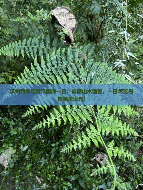 滨州到恩施清江画廊一日
