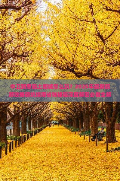 中卫到恩施土司城团体旅游