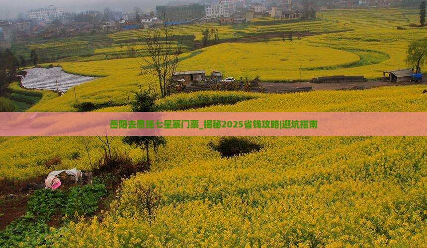 岳阳去恩施七星寨门票