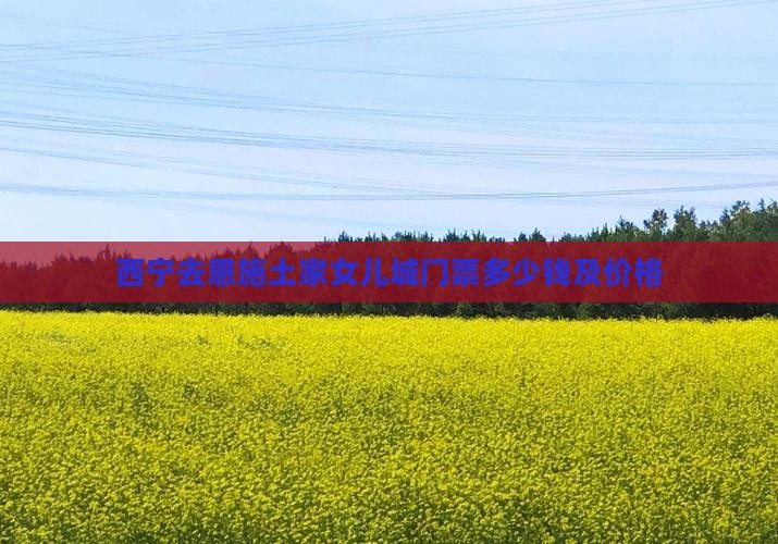 西宁去恩施土家女儿城门票