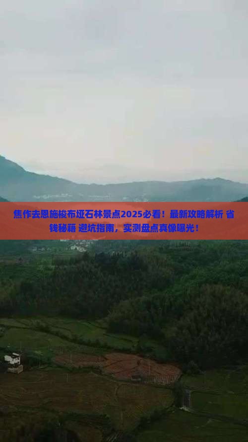 焦作去恩施梭布垭石林景点