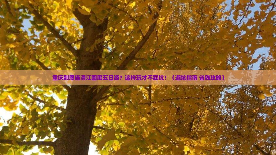 重庆到恩施清江画廊五日游