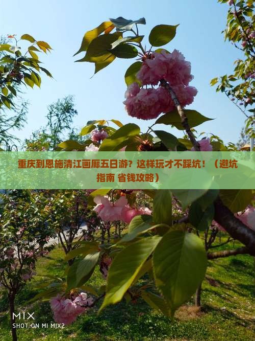 重庆到恩施清江画廊五日游