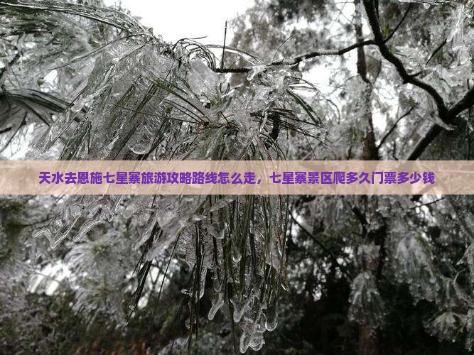 天水去恩施七星寨旅游