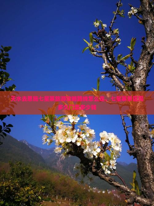 天水去恩施七星寨旅游