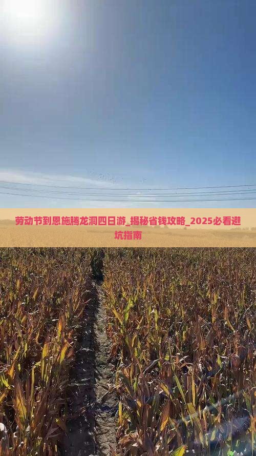 劳动节到恩施腾龙洞四日游
