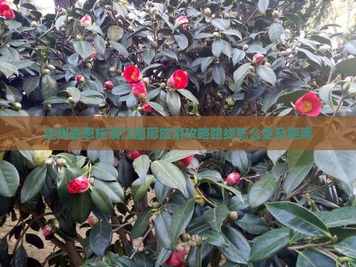 达州去恩施清江画廊旅游