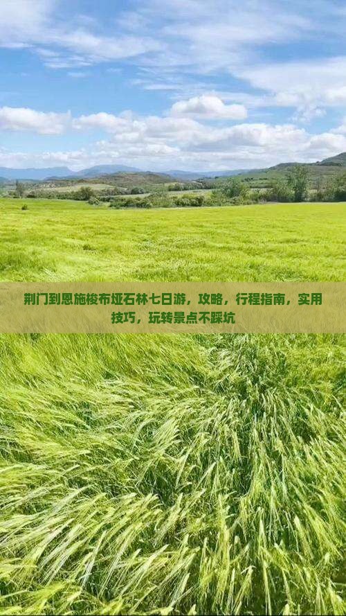 荆门到恩施梭布垭石林七日游