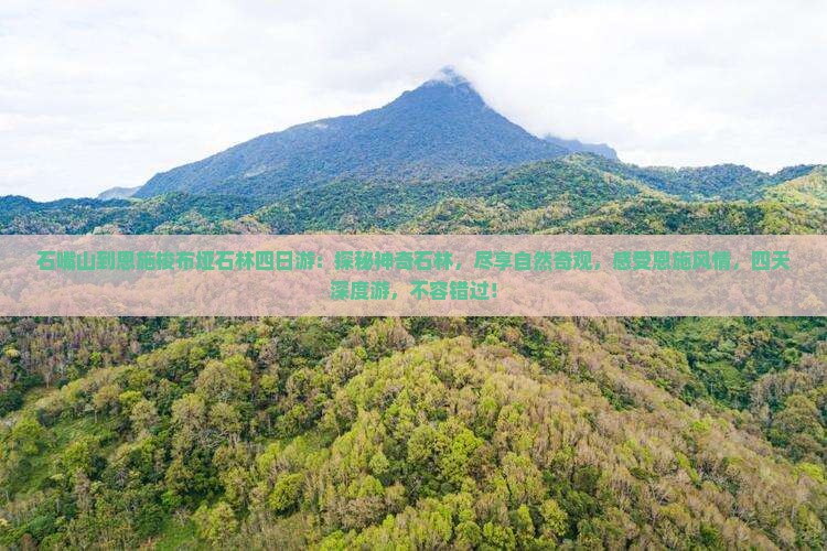 石嘴山到恩施梭布垭石林四日游