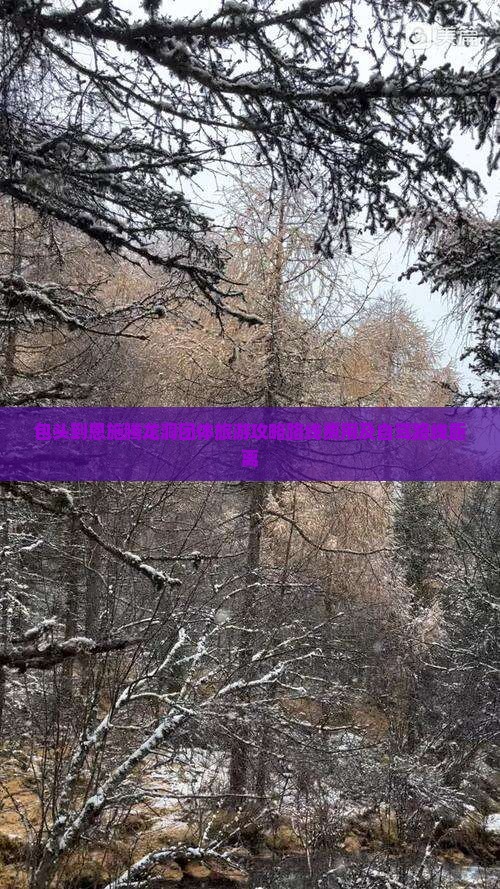 包头到恩施腾龙洞团体旅游 包头到恩施腾龙洞团体旅游