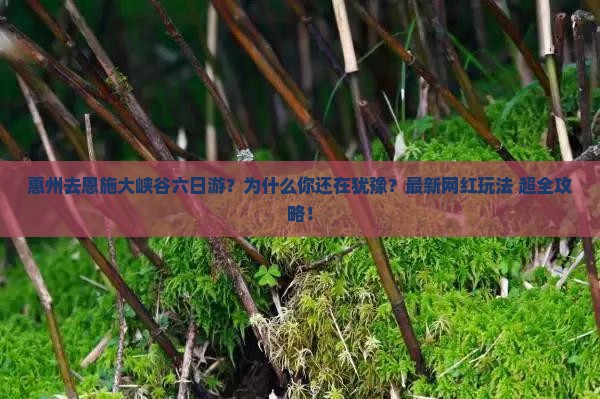 惠州去恩施大峡谷六日游
