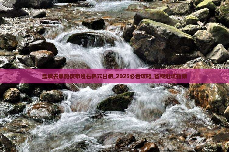 盐城去恩施梭布垭石林六日游
