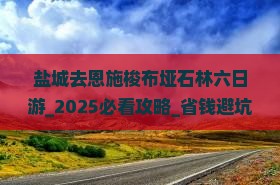 盐城去恩施梭布垭石林六日游