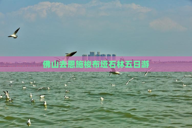 佛山去恩施梭布垭石林五日游