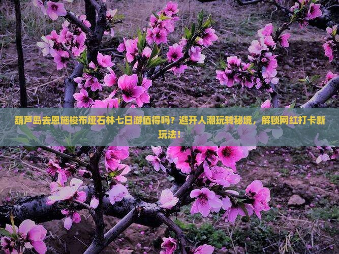 葫芦岛去恩施梭布垭石林七日游