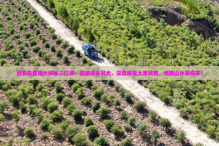西安去恩施大峡谷三日游