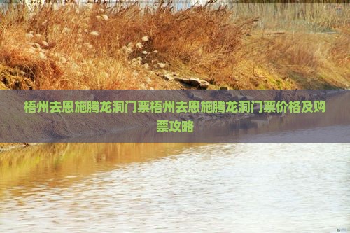 梧州去恩施腾龙洞门票