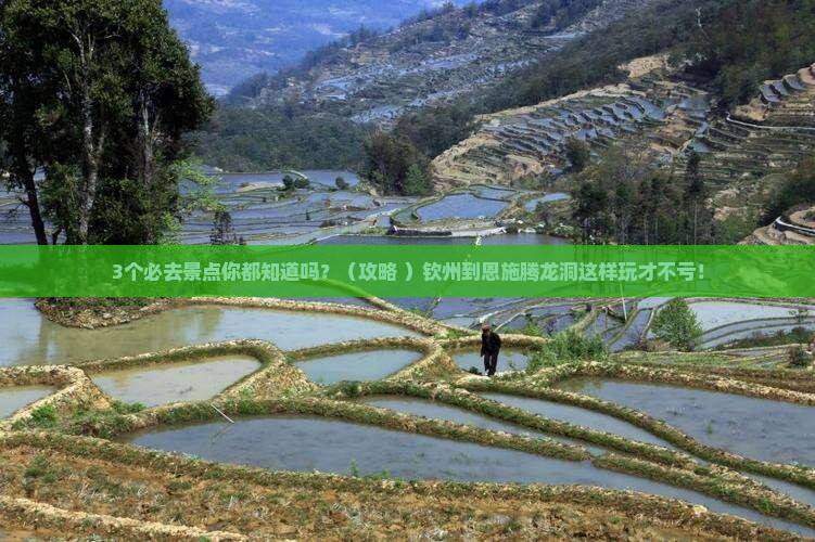 钦州到恩施腾龙洞必去地