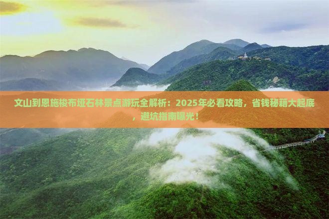 文山到恩施梭布垭石林景点