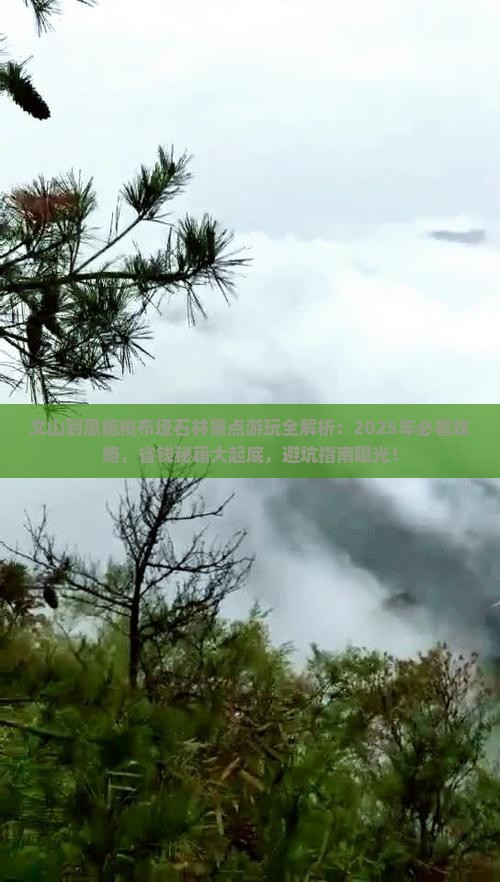 文山到恩施梭布垭石林景点