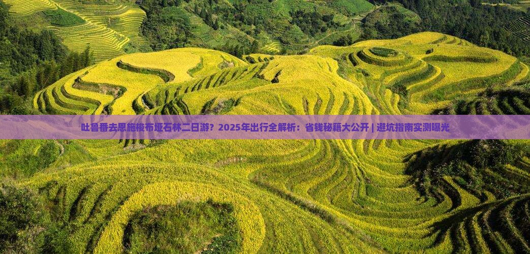 吐鲁番去恩施梭布垭石林二日游