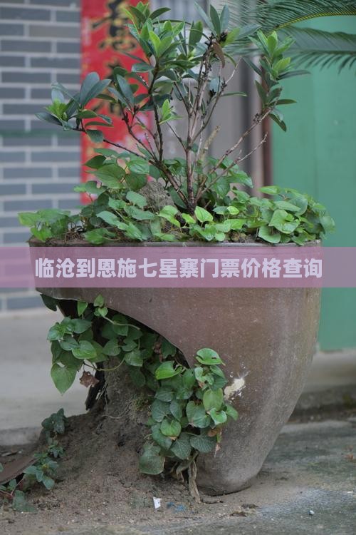 临沧到恩施七星寨门票