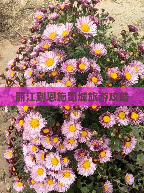 丽江去恩施土司城攻略