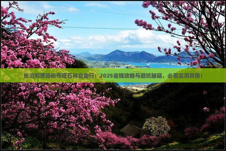 长治到恩施梭布垭石林自由行