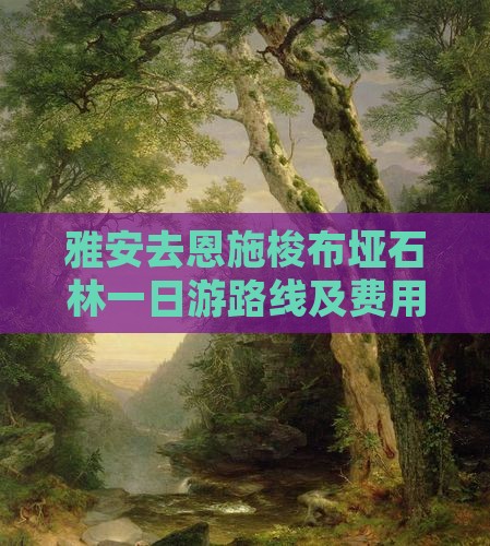 雅安去恩施梭布垭石林一日