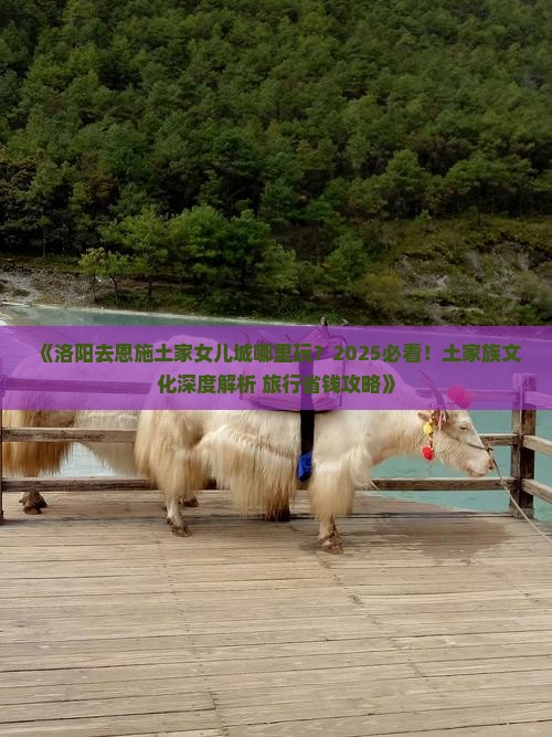 洛阳去恩施土家女儿城哪里玩