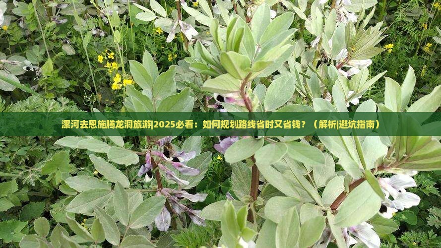 漯河去恩施腾龙洞旅游