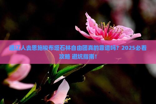 通辽去恩施梭布垭石林自由团