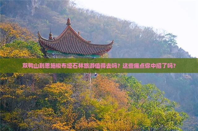 双鸭山到恩施梭布垭石林旅游