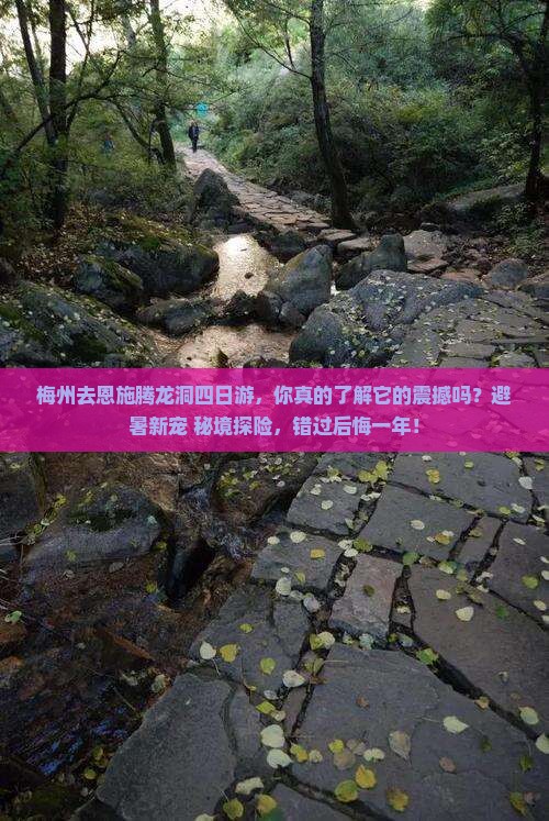 梅州去恩施腾龙洞四日游