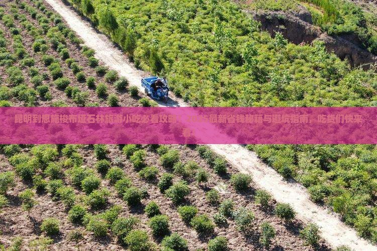 昆明到恩施梭布垭石林旅游小吃