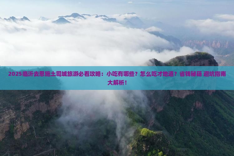 临沂去恩施土司城旅游小吃