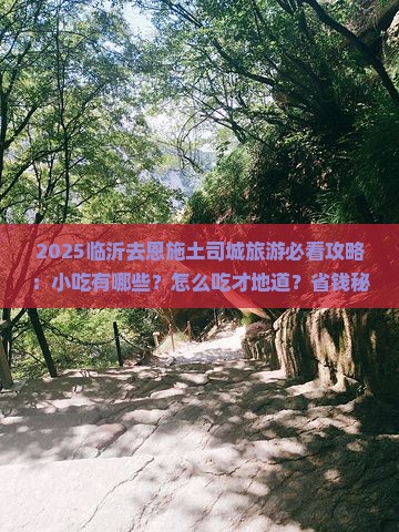临沂去恩施土司城旅游小吃