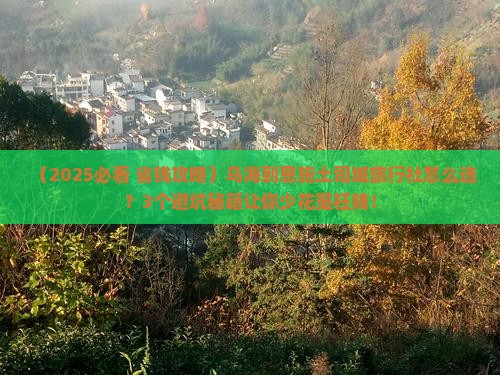 乌海到恩施土司城旅行社
