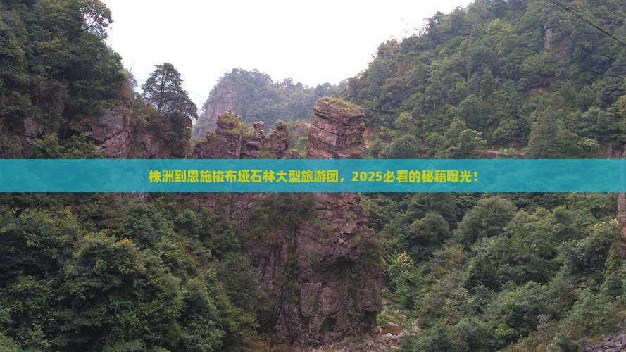株洲到恩施梭布垭石林大型旅游团