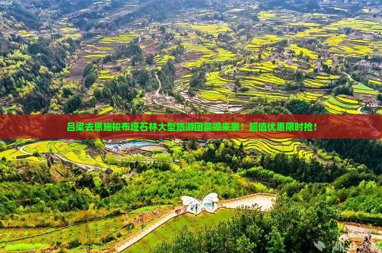 吕梁去恩施梭布垭石林大型旅游团