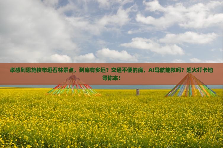 孝感到恩施梭布垭石林景点