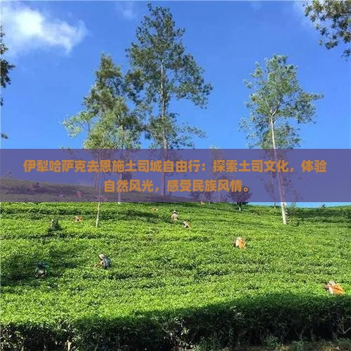 伊犁哈萨克去恩施土司城自由行