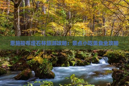 乌海去恩施梭布垭石林旅游小吃