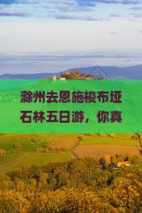 滁州去恩施梭布垭石林五日游